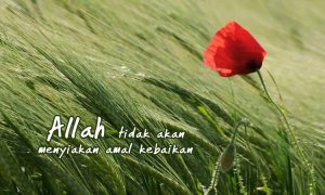 Hukum Membayar Fidyah Bagi Wanita Hamil dan Menyusui