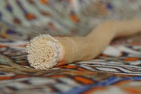 Keutamaan Siwak