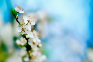 Shalihah dengan muhasabah