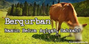 Berqurban Namun Belum Aqiqah, Sahkah?