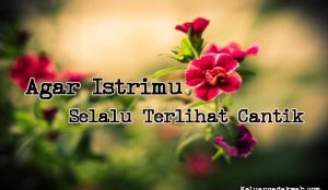 Agar Istrimu Selalu Terlihat Cantik