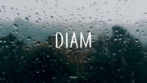 Diam itu bijak