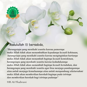 Renungan Ketika Mencari Istri