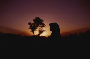 Untukmu Istri Shalihah