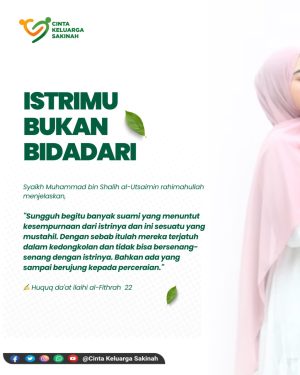 ISTRIMU BUKAN BIDADARI